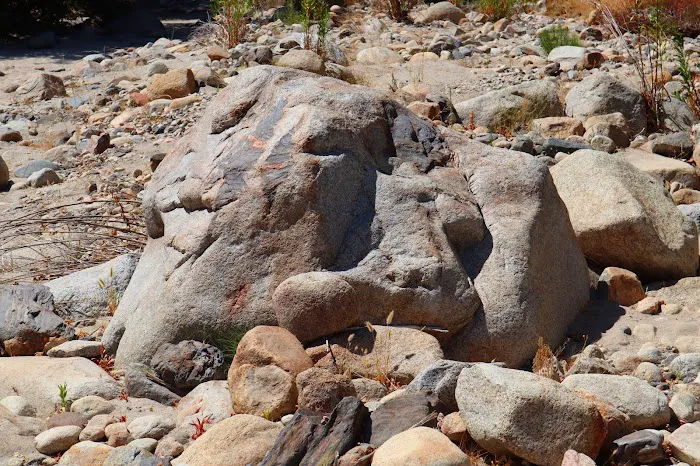 Dripping Springs Campground Picture 7