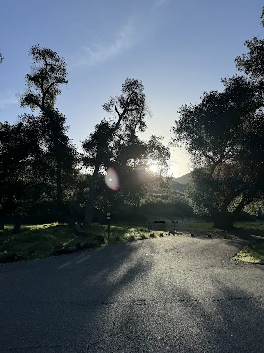 Dripping Springs Campground Picture 3