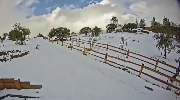 Manzenita Meadows Picture 5