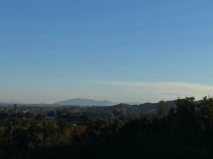 Oakasis treehouse Picture 10