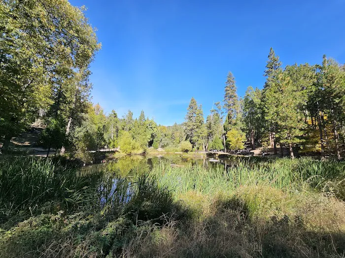 Camp Emerson BSA Reserve Picture 10