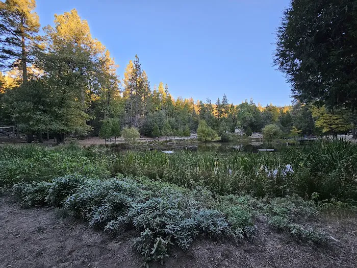 Camp Emerson BSA Reserve Picture 5