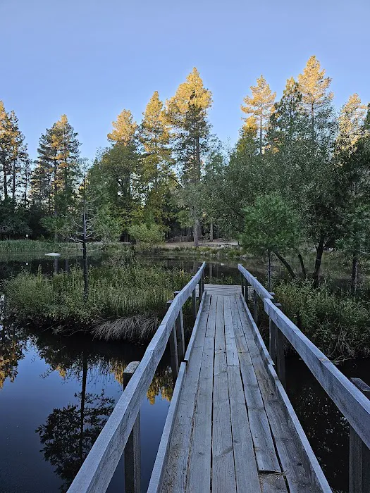 Camp Emerson BSA Reserve Picture 8