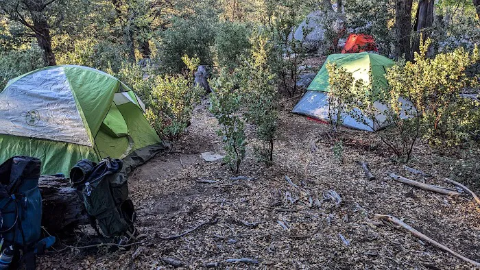 Centennial Oak campground Picture 5