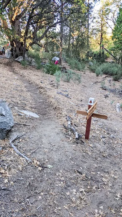 Centennial Oak campground Picture 6