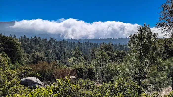 Centennial Oak campground Picture 1