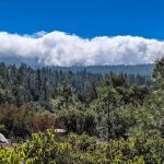 Centennial Oak campground