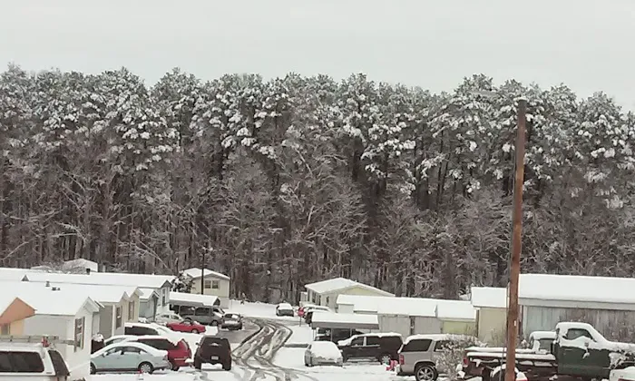 Paradise Valley Mobile Home Community Picture 6