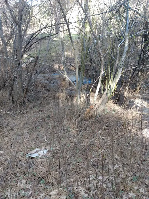 Idyllwild County Park Entrance Picture 8