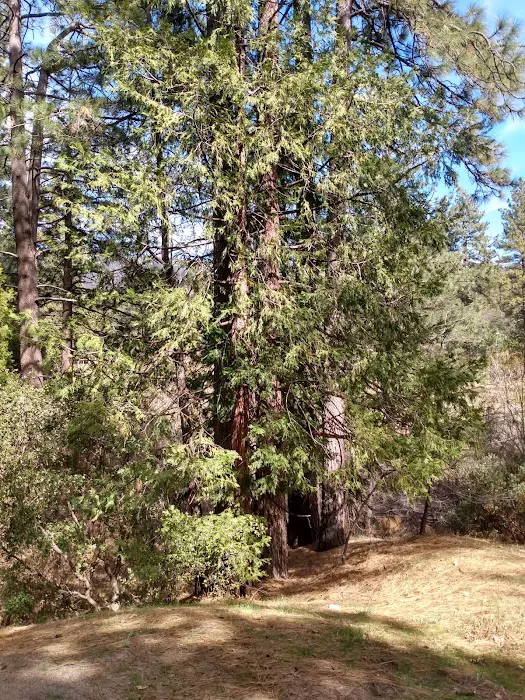 Idyllwild County Park Entrance Picture 2
