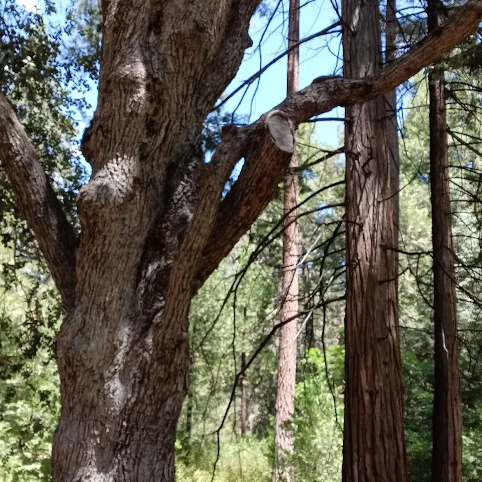 Idyllwild County Park Entrance Picture 7