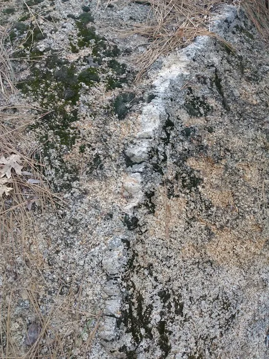 Idyllwild County Park Entrance Picture 10