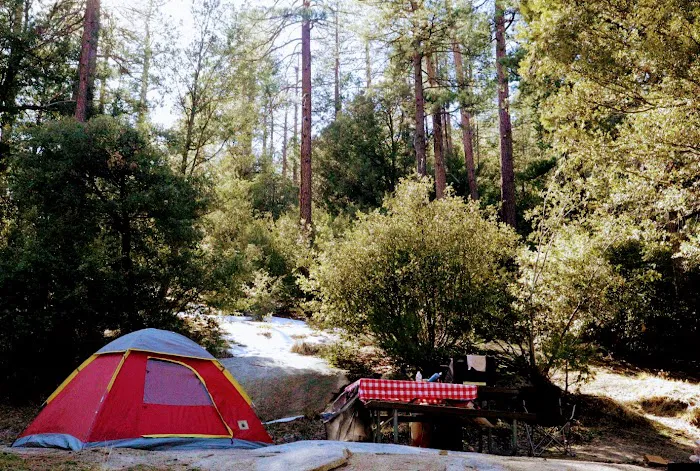 Idyllwild County Park Entrance Picture 1