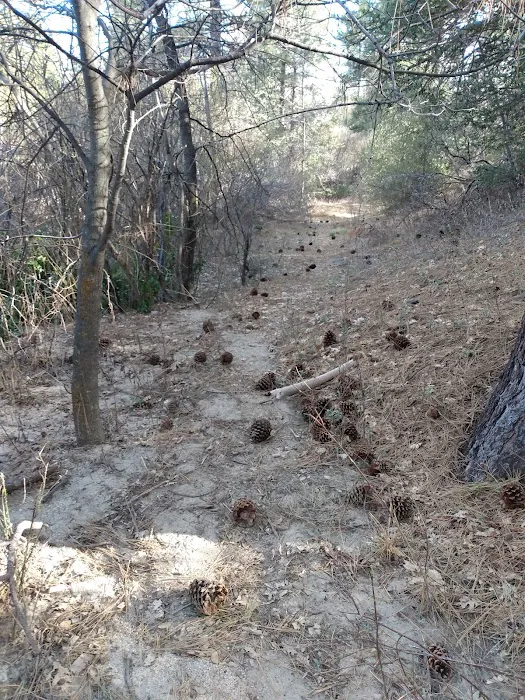 Idyllwild County Park Entrance Picture 9