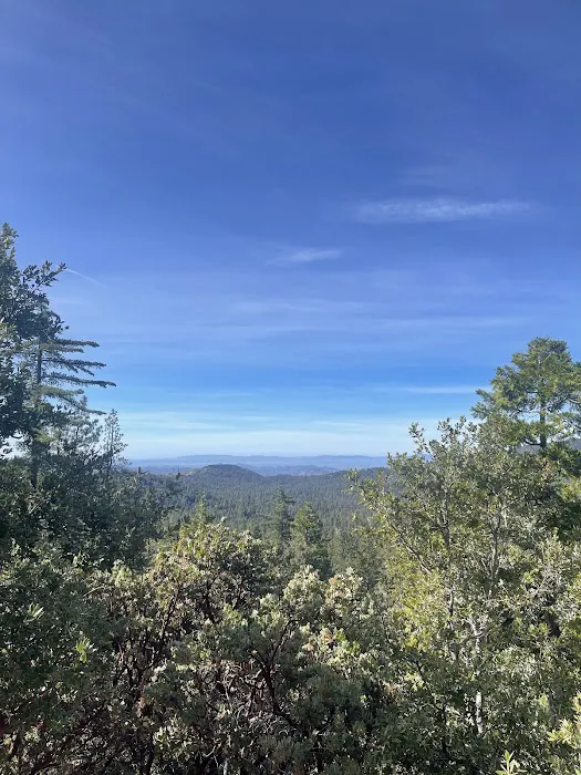 Diamonds Ranch Picture 3