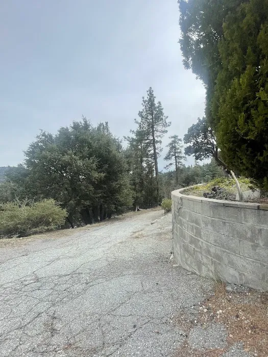 Diamonds Ranch Picture 8