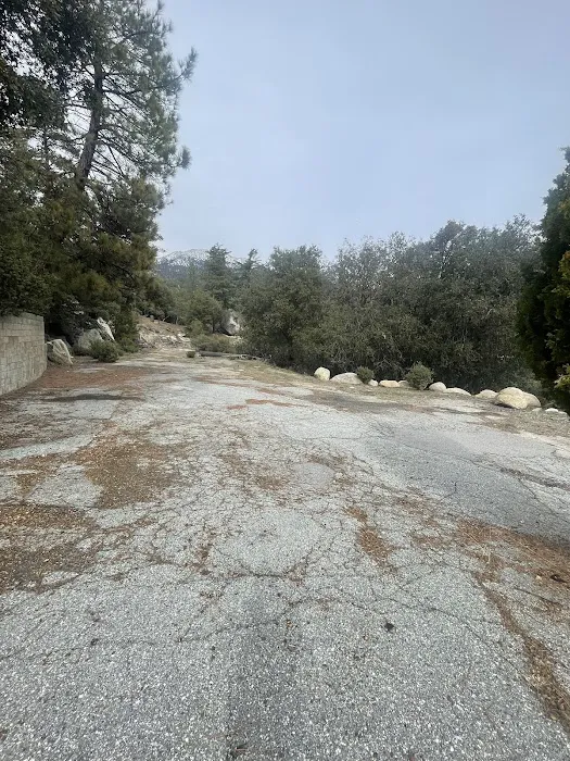 Diamonds Ranch Picture 9