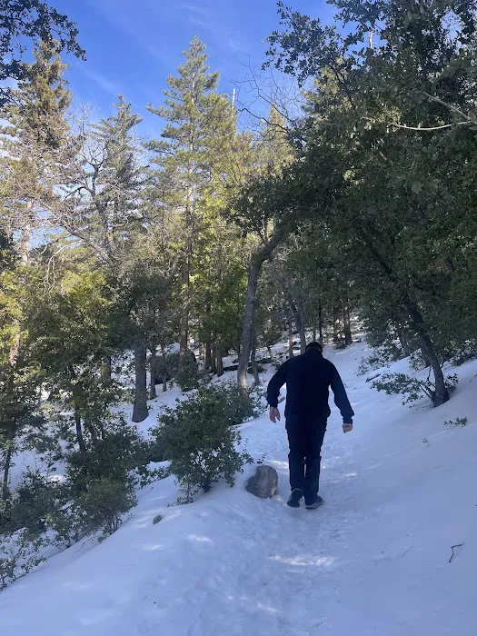 Diamonds Ranch Picture 2