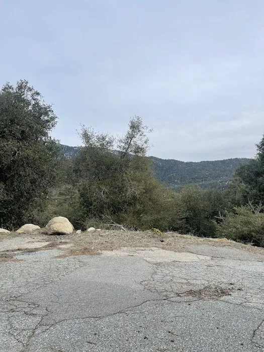 Diamonds Ranch Picture 7