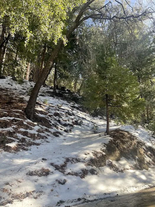 Diamonds Ranch Picture 1