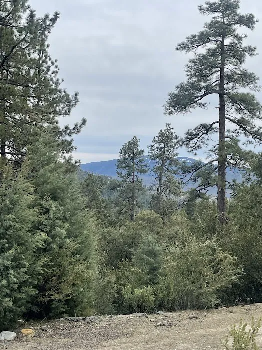 Diamonds Ranch Picture 4