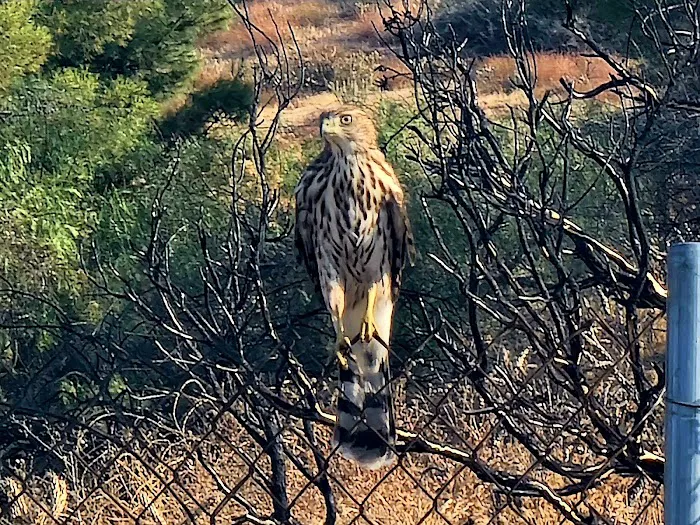 The Upperie of Aguanga Picture 1