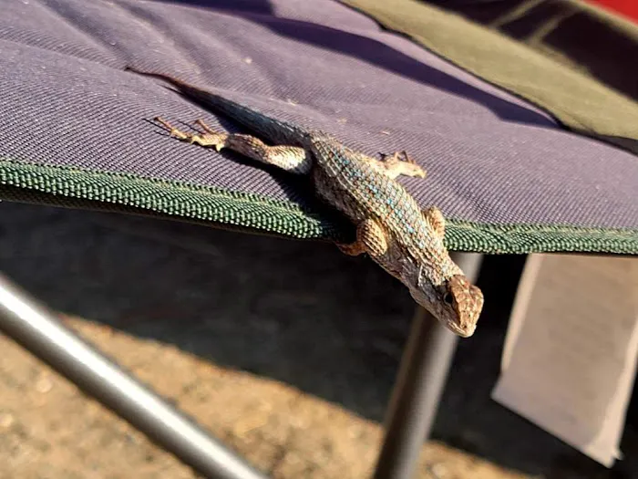 The Upperie of Aguanga Picture 3