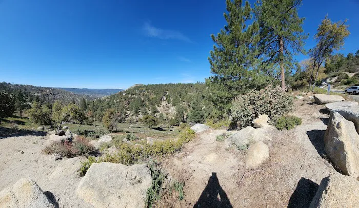 Idyllwild Campground Picture 3