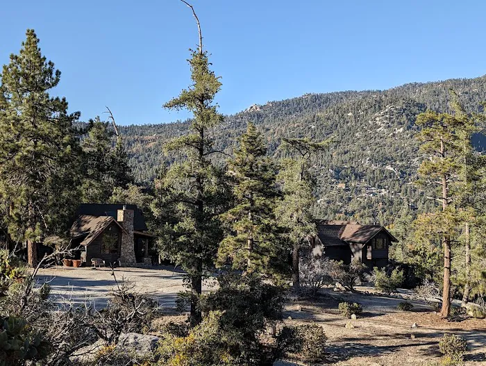 Idyllwild Campground Picture 8