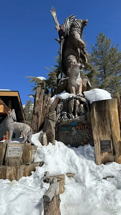 Idyllwild Campground Picture 1