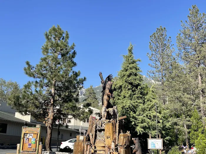 Idyllwild Campground Picture 4