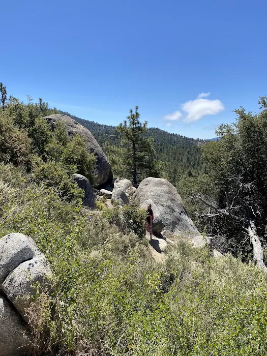 Idyllwild Campground Picture 5