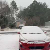 Landau Mobile Home Estate ico