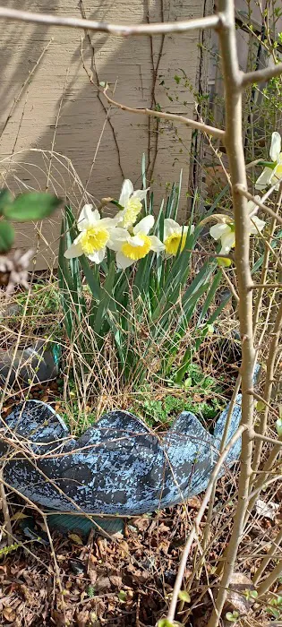 Landau Mobile Home Estate Picture 5