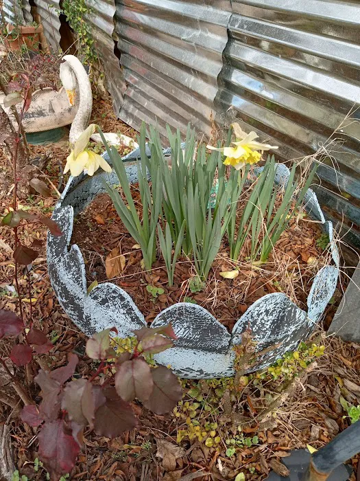 Landau Mobile Home Estate Picture 7