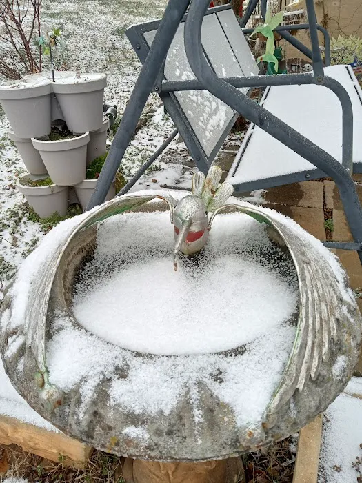 Landau Mobile Home Estate Picture 6