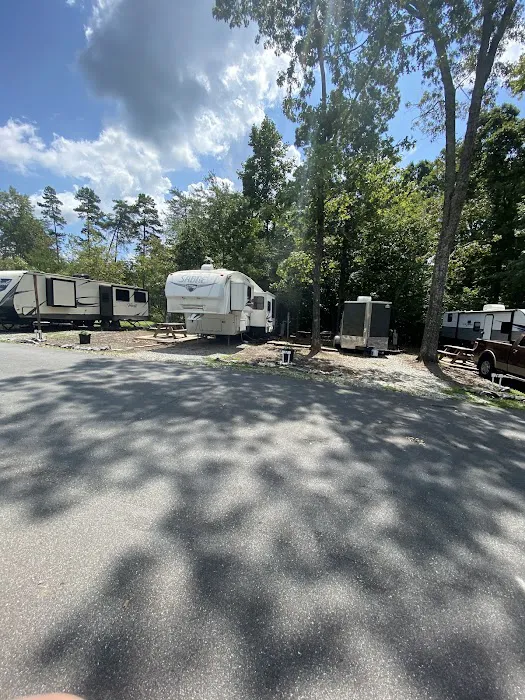 Rhyne Road RV Park Picture 5