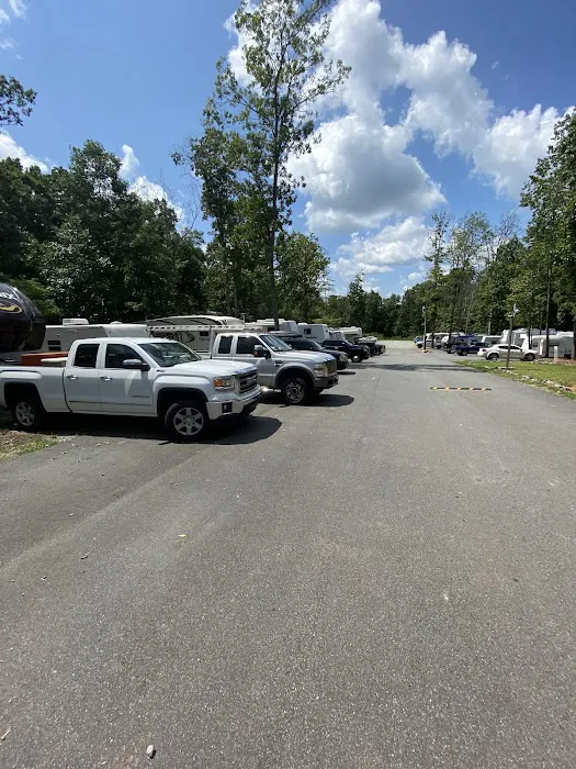 Rhyne Road RV Park Picture 2