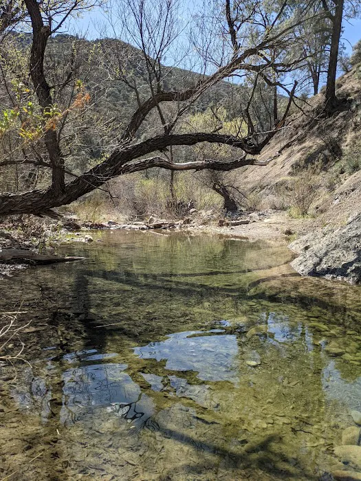 Nira Campground Picture 5