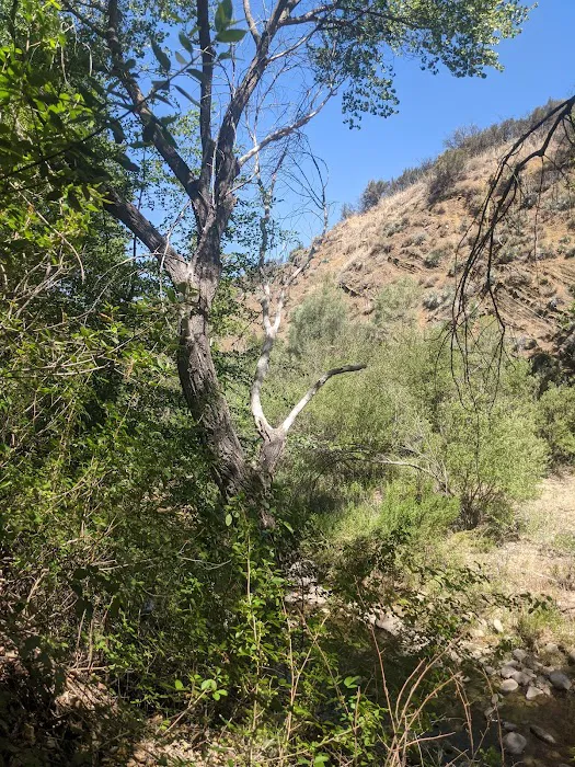 Nira Campground Picture 4