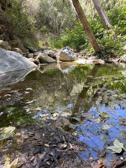 Davy Brown Campground Picture 9