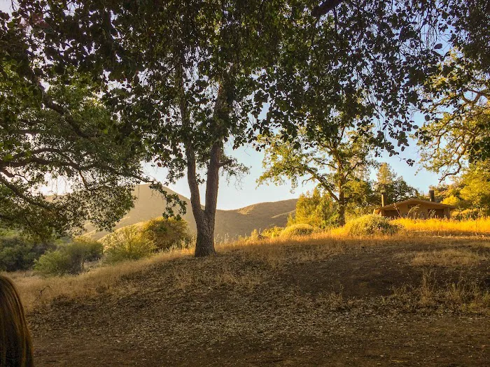 Davy Brown Campground Picture 5