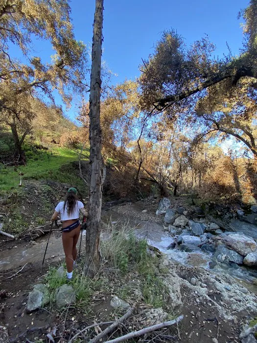 Davy Brown Campground Picture 10