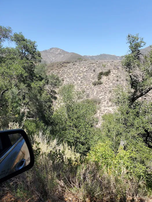 Davy Brown Campground Picture 8