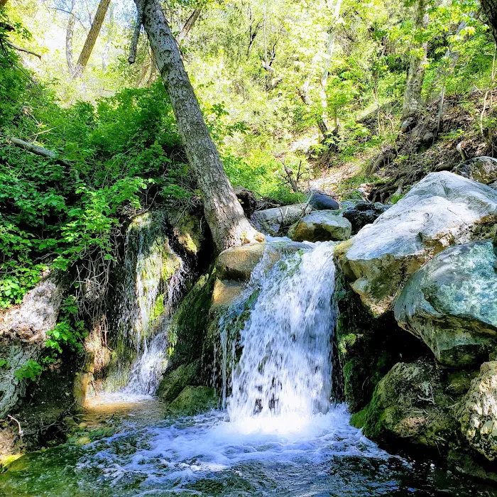 Davy Brown Campground Picture 7