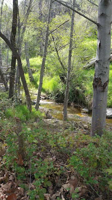 Davy Brown Campground Picture 3