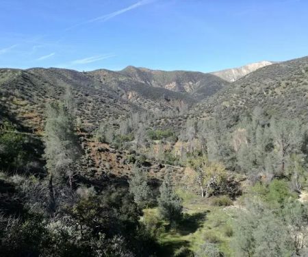 Potrero Camp