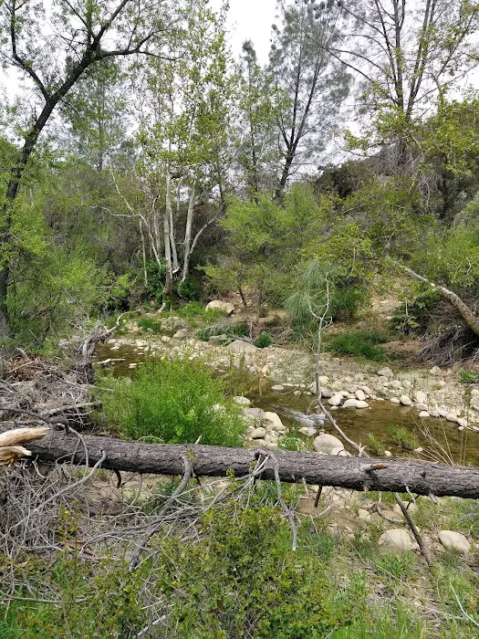 Potrero Camp Picture 6