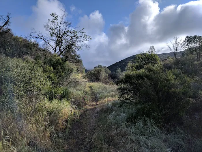 Potrero Camp Picture 4