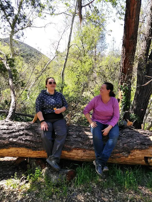 Potrero Camp Picture 5